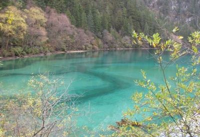 去九寨沟旅游报价