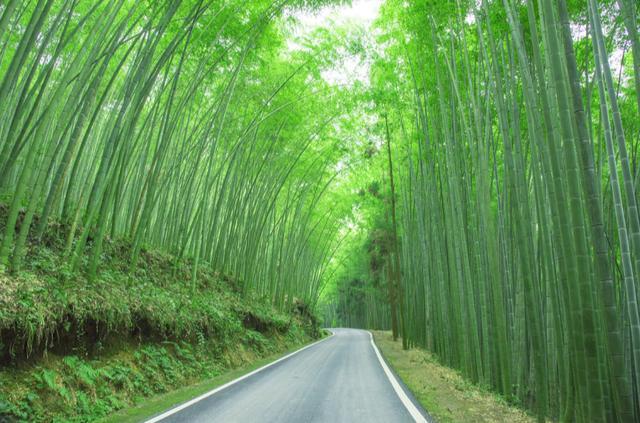 大竹旅游景点