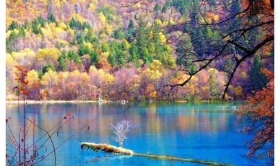 去九寨沟旅游报价