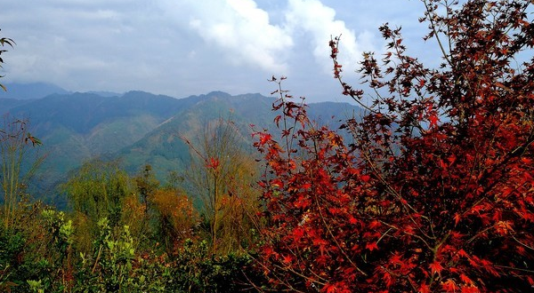 绵竹旅游景点大全