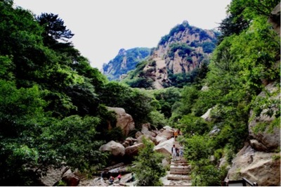 望海寺在哪里