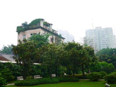 广州适合老年人的景点