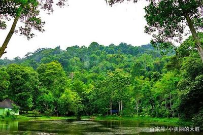 生物岛有什么景点
