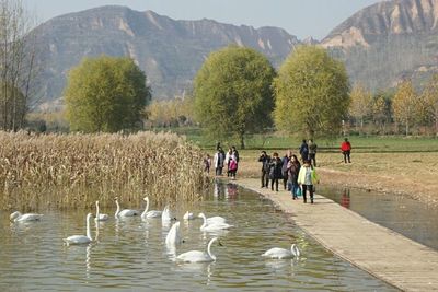 平陆景点