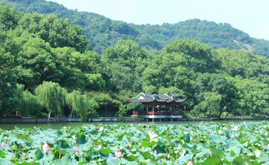 杭州有哪些景点