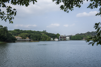 广州麓湖公园