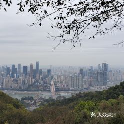 南山丽景度假酒店