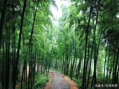 大竹旅游景点