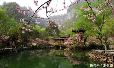 桃花源景点