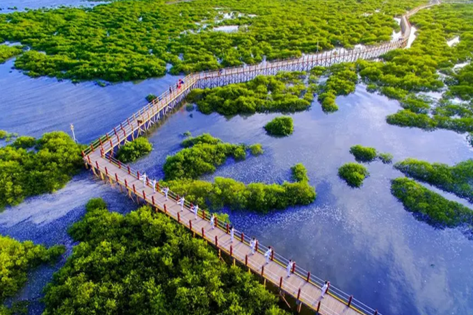 生物岛有什么景点