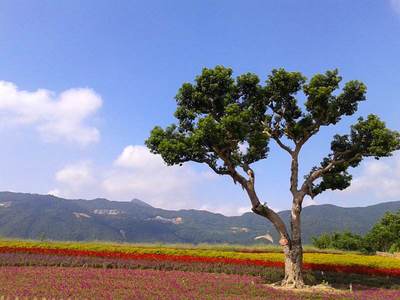 十里蓝山在哪里