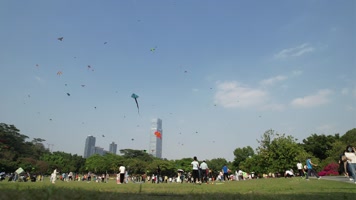 深圳哪里适合放风筝