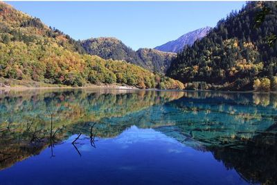 十二月适合哪里旅游
