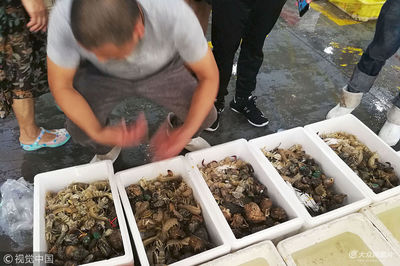 青岛积米崖海鲜市场