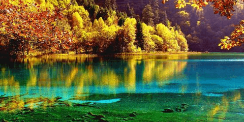 十二月适合哪里旅游