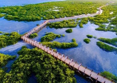 生物岛有什么景点