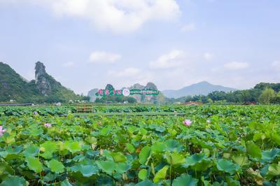 广东知名景点