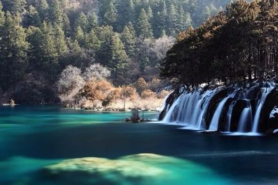 十二月适合哪里旅游