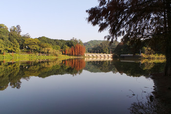 广州麓湖公园