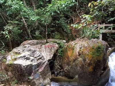 河源桂山旅游攻略