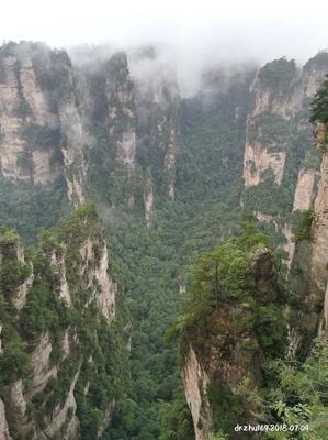 广州到张家界飞机