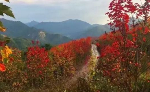 绵竹旅游景点大全