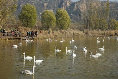 平陆景点