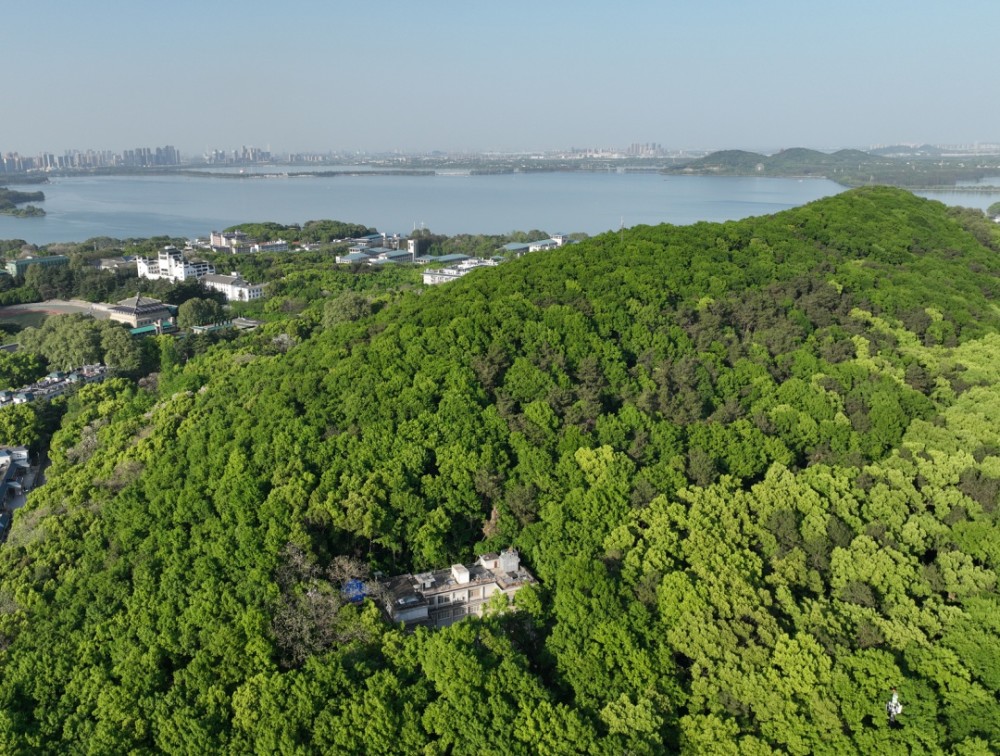 武汉 山