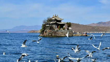 宁波市区旅游必去景点