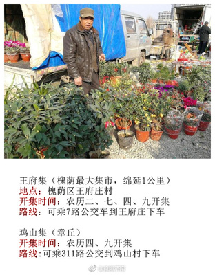 济南集市大全时间表