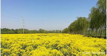 商河有什么好玩的地方
