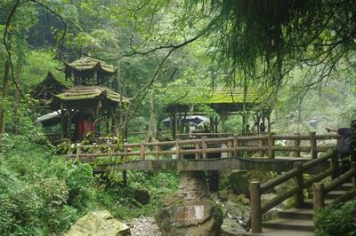 成都青城山要门票吗