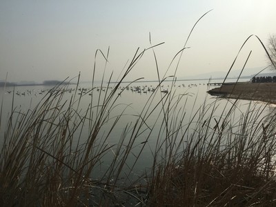 平陆景点