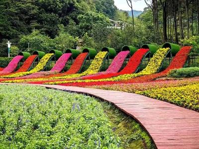 广州花海景点
