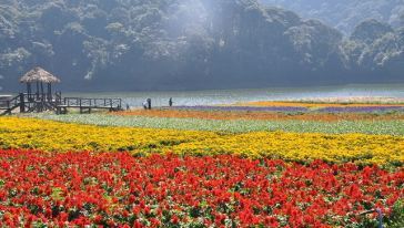 广州花海景点