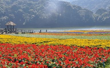 广州花海景点