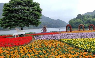 广州花海景点