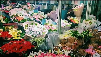安阳花卉市场在哪里