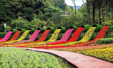 广州花海景点