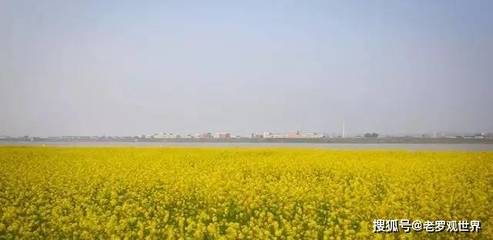 长沙鹅洲岛在哪里