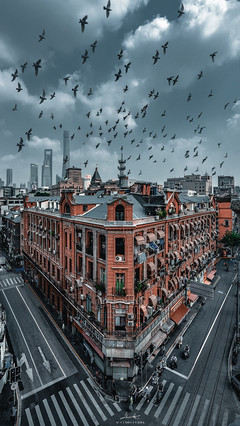 梦见去上海旅游