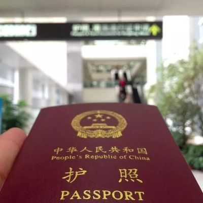 护照在哪里办的