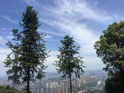 重庆南山有什么好玩的