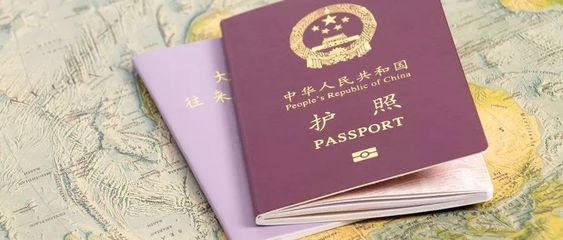 护照在哪里办的