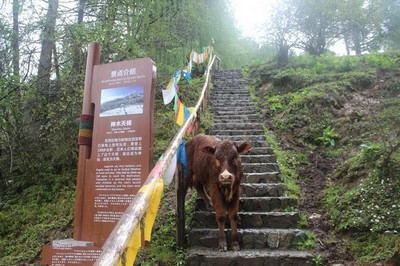 神木垒旅游攻略