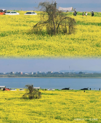 长沙鹅洲岛在哪里