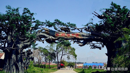 绥化旅游景点