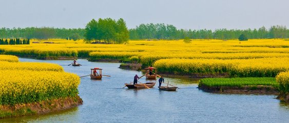 长沙鹅洲岛在哪里