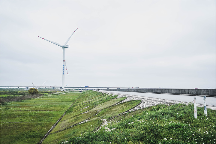 上海市滴水湖天气预报