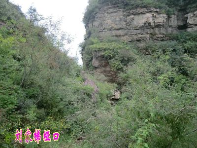 苍龙山是现在的哪里